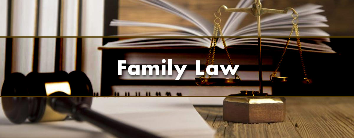 Best Family Law Attorneys in Buffalo, NY